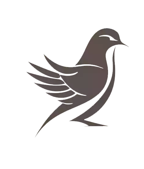 %name bird logo design png download